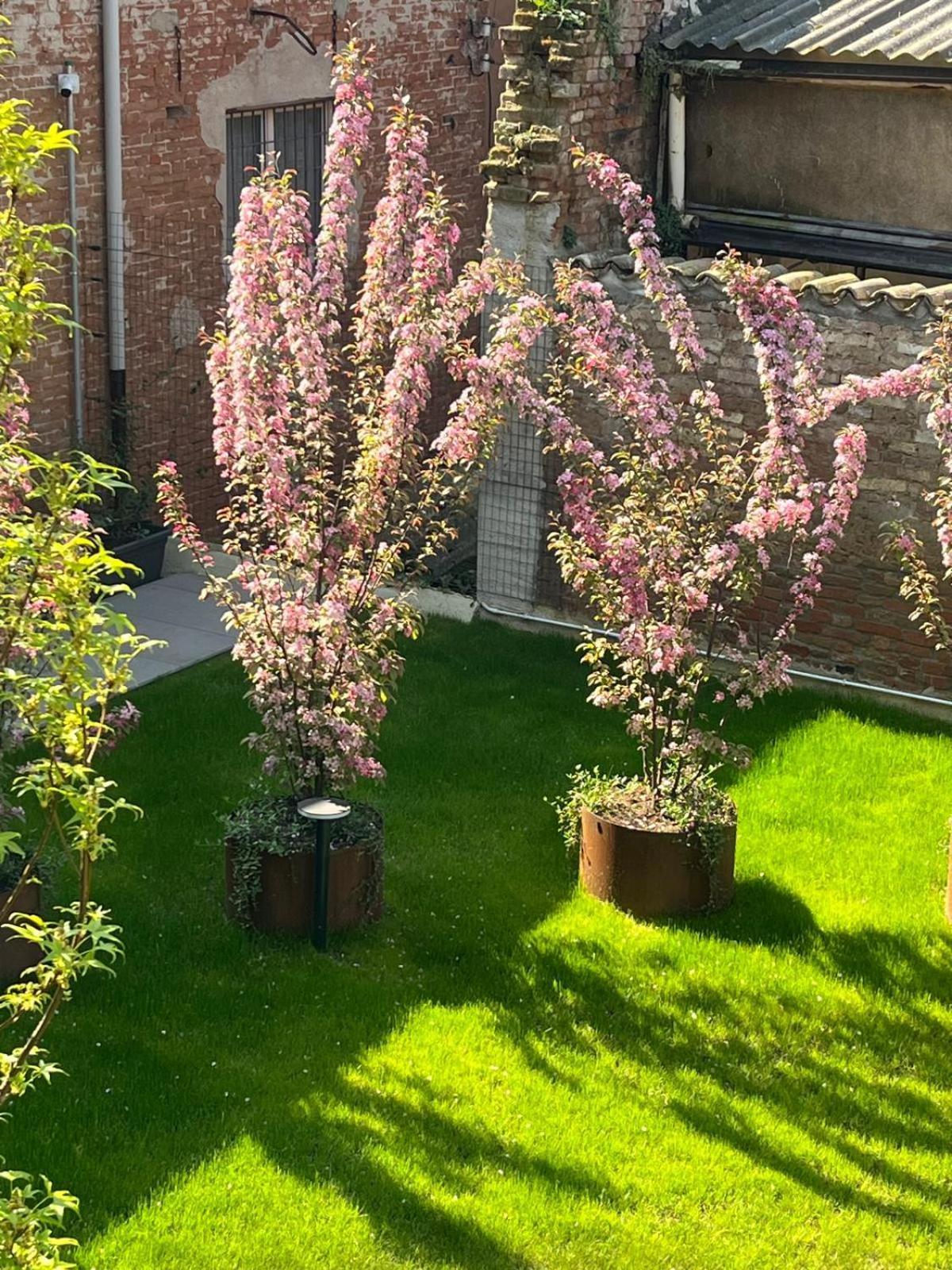 Cremona Inn Aparthotel Exteriör bild